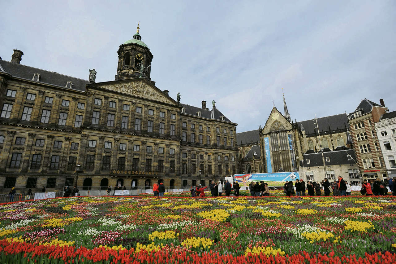 1701amsagenda_tulpen.jpg
